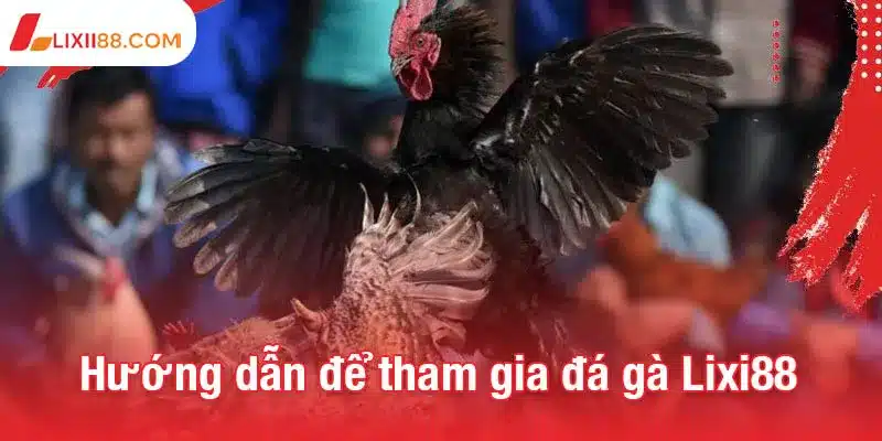 Đá gà Lixi88 - Sân chơi thể thao kịch tính và chất lượng cao 3 Hướng dẫn dễ dàng để tham gia đá gà Lixi88