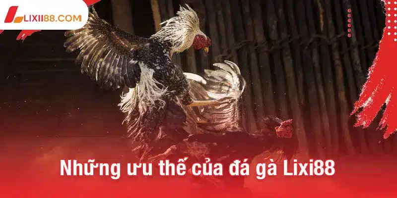 Đá gà Lixi88 - Sân chơi thể thao kịch tính và chất lượng cao 2 Những ưu thế vượt trội của đá gà Lixi88