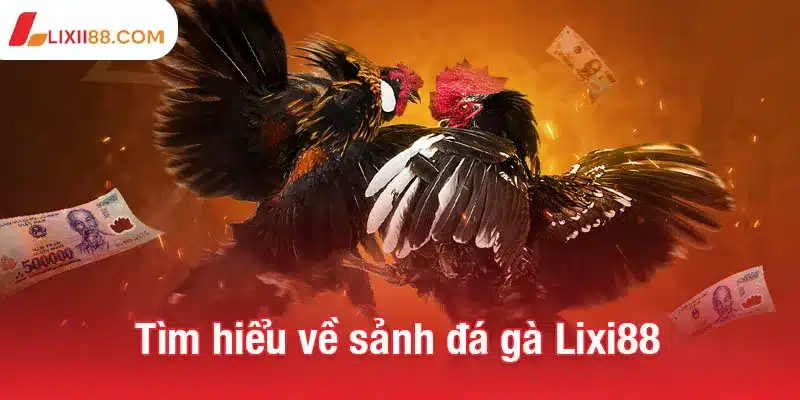Đá gà Lixi88 - Sân chơi thể thao kịch tính và chất lượng cao 1 Tìm hiểu về sảnh đá gà Lixi88